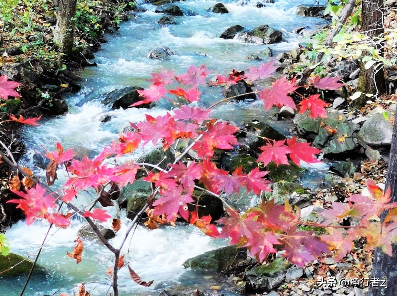 图们江口岸游记,从图们市到牡丹江自驾游
