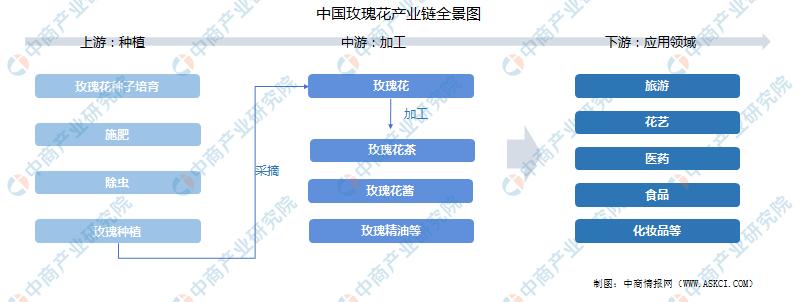 中国农产品精深加工,中国农产品加工项目