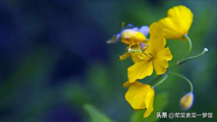 父亲中风无法自理,爸爸中风心里难受