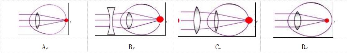2022年上海初中一模物理卷,物理一模山东讲评