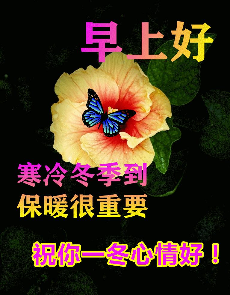 早晨阳光表情图片,秋季清晨非常漂亮早上好表情图片