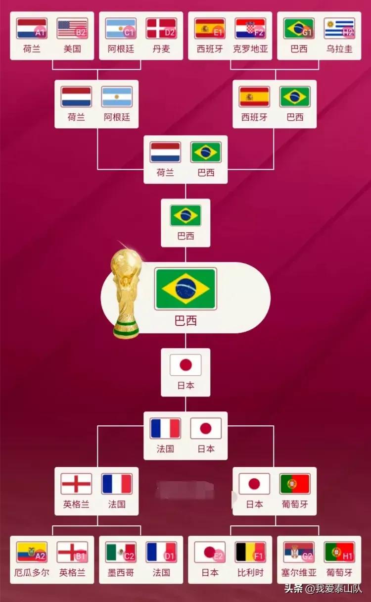 真希望世界大战,巴西与日本比赛直播