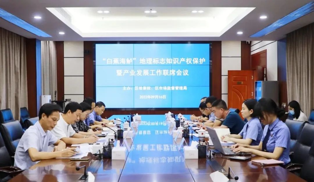 检察机关知识产权保护典型案例,检察机关知识产权典型案例