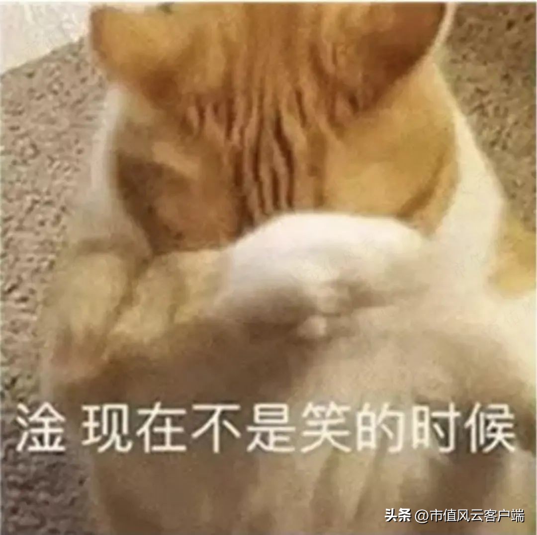 95后买壳人是造假大亨之女,雅百特造假案还要换个姿势,再来一次?