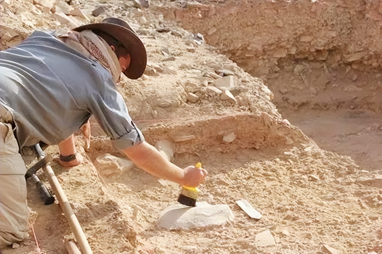 日本当年用什么换辛追夫人头发,日本索要辛追的头发