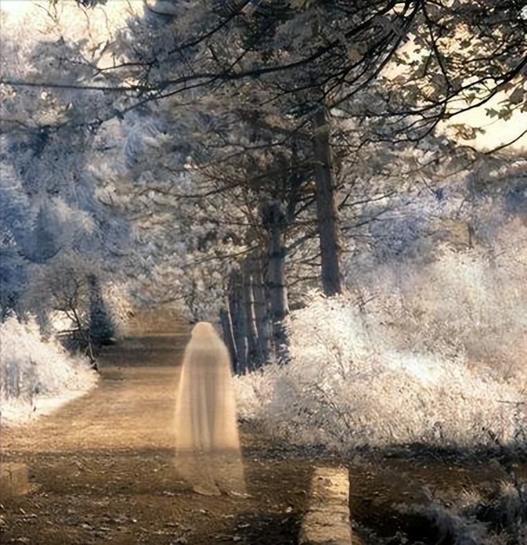 曾仕强关于鬼的故事,国学大师曾仕强讲报应