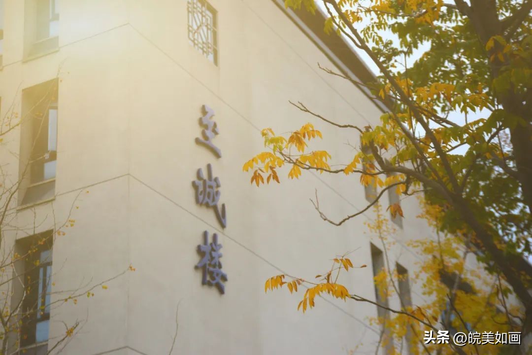 安徽大学好看的风景,高校最美秋景