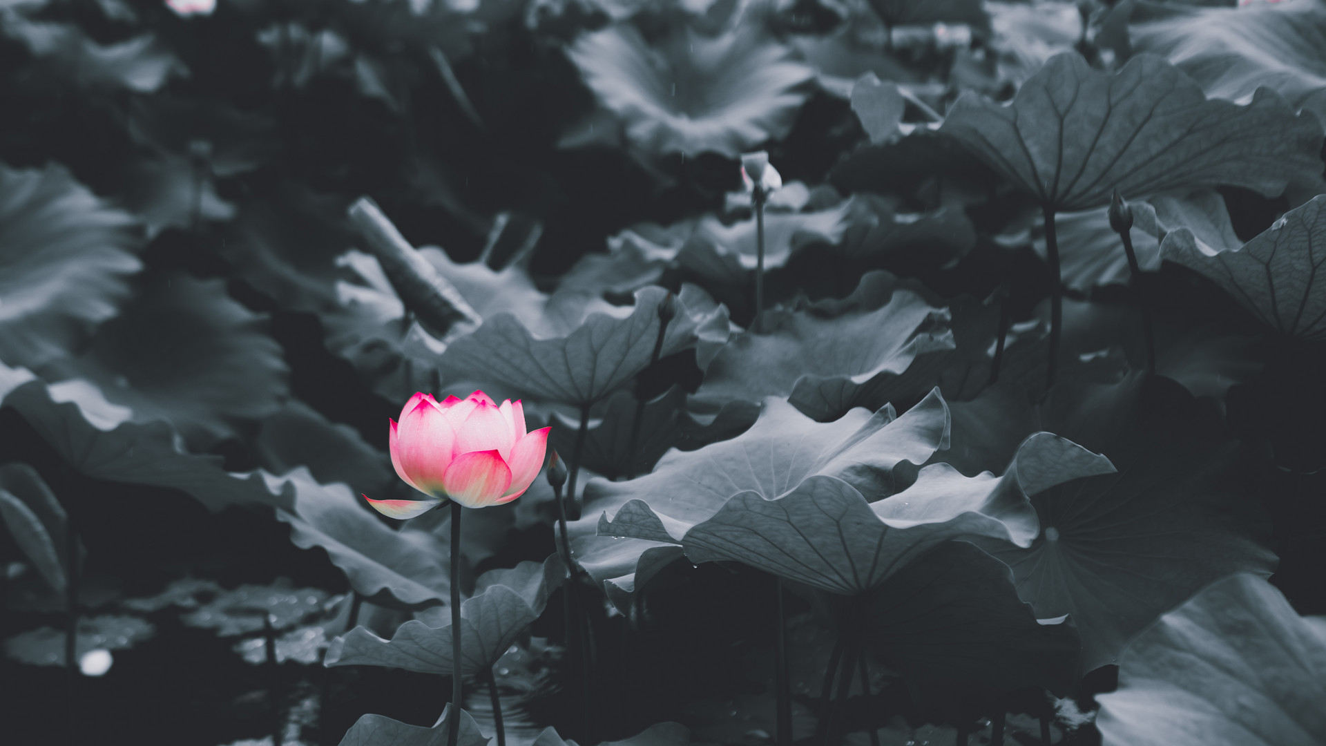 遭人陷害时，别急着撕破脸，先做好三件事