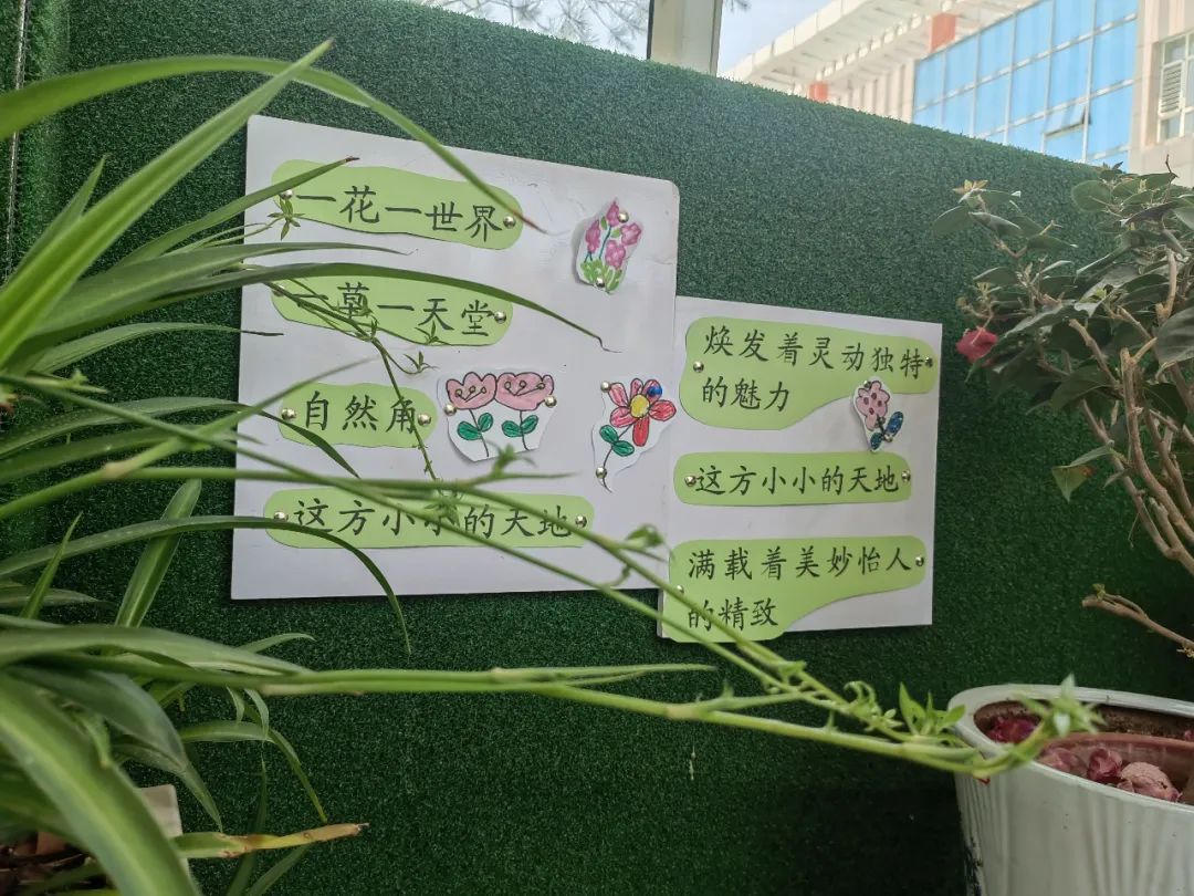 倾听儿童相伴成长主题墙幼儿园,倾听儿童相伴成长幼儿园小班视频