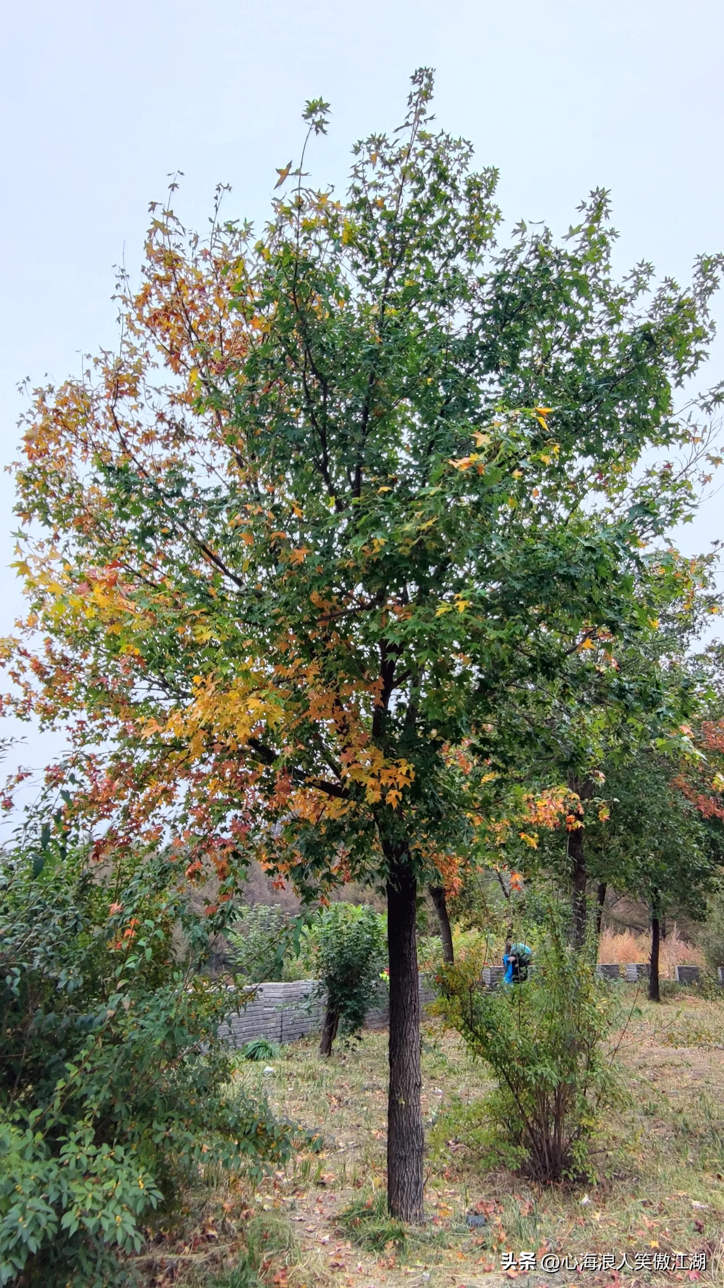 国庆北京自驾风景游,国庆节北京骑行夜景