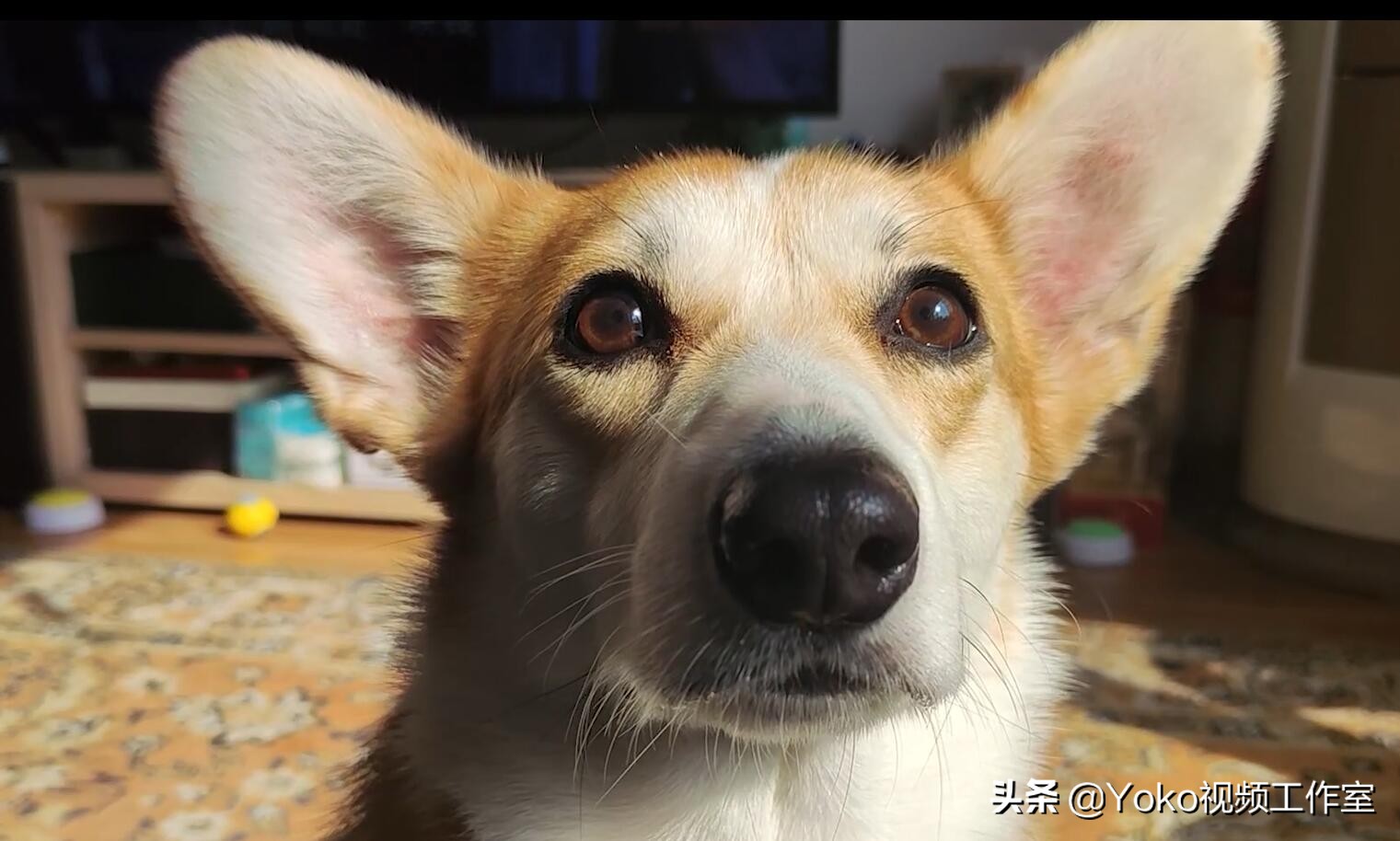 新手买电脑时需要注意哪些配置,新手买电脑应该买哪些配置