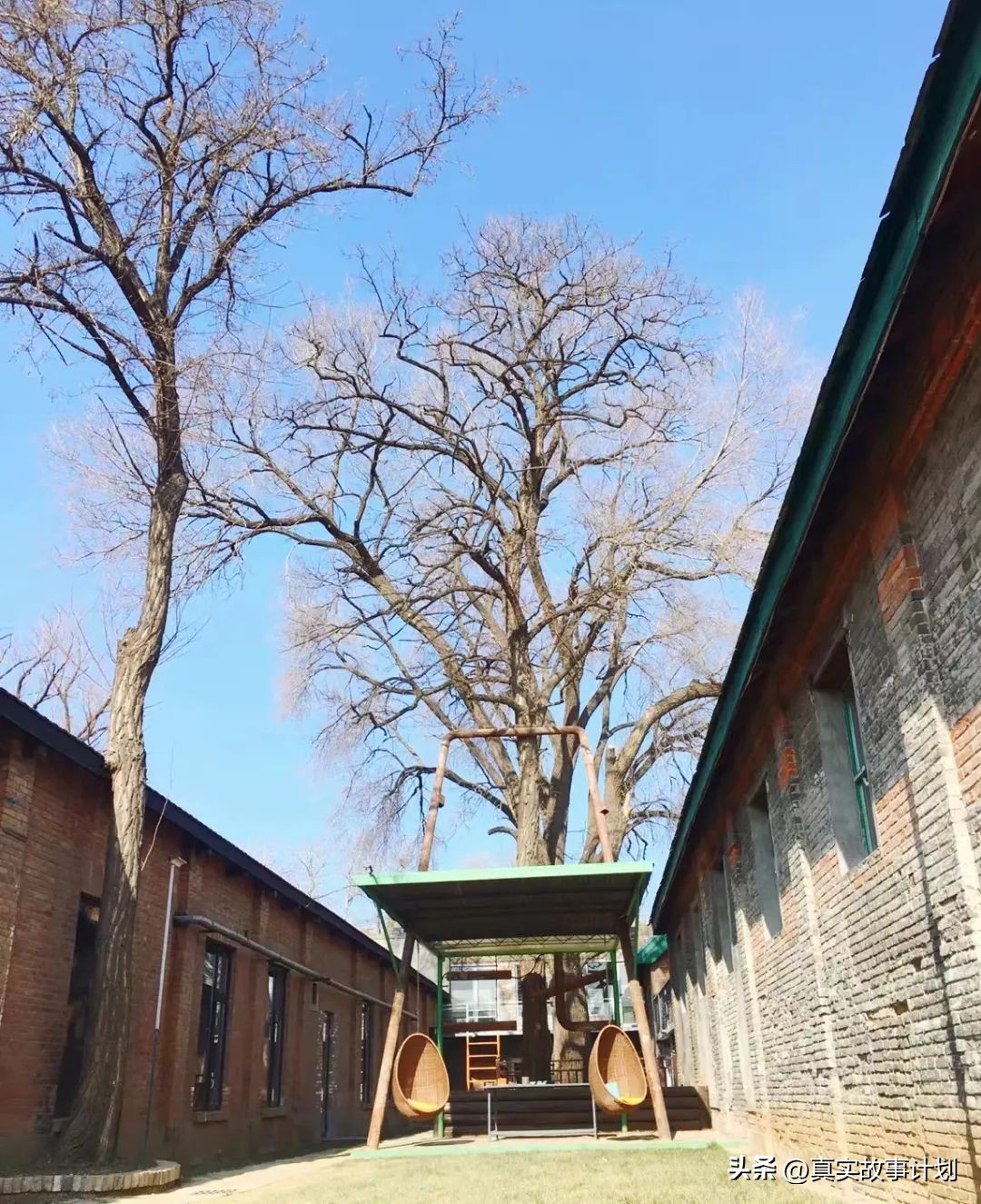 在家啃老，年轻人不工作的退路