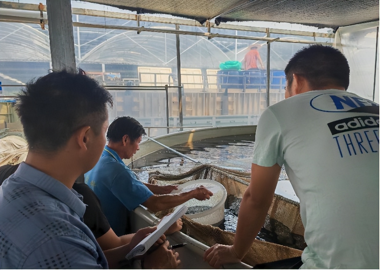 4项国家专利加持！养殖尾水处理制胜法宝！探秘佛山南海这家农企→