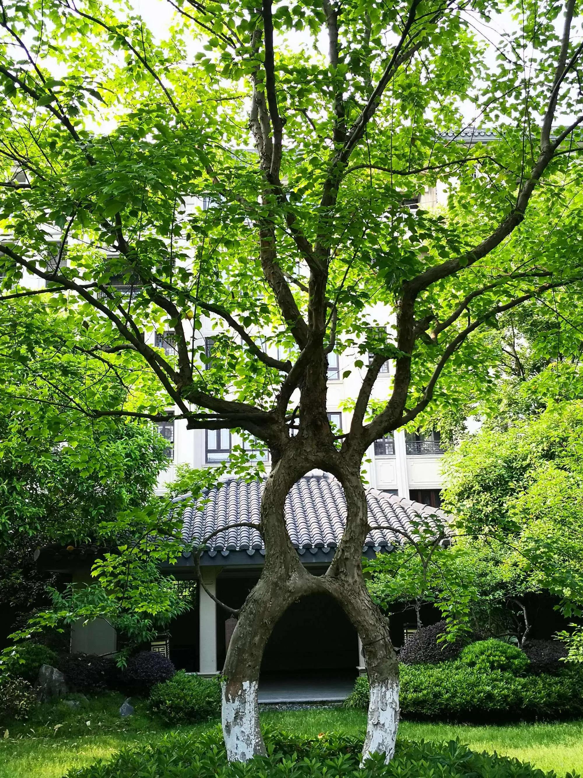 爱情三字名字,爱情三字英文