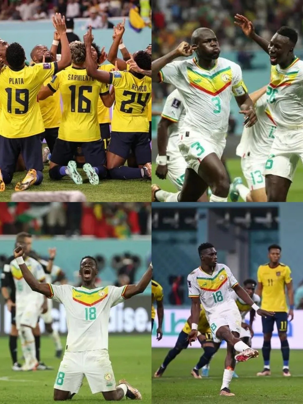 记录卡塔尔世界杯书,回看卡塔尔世界杯夺冠