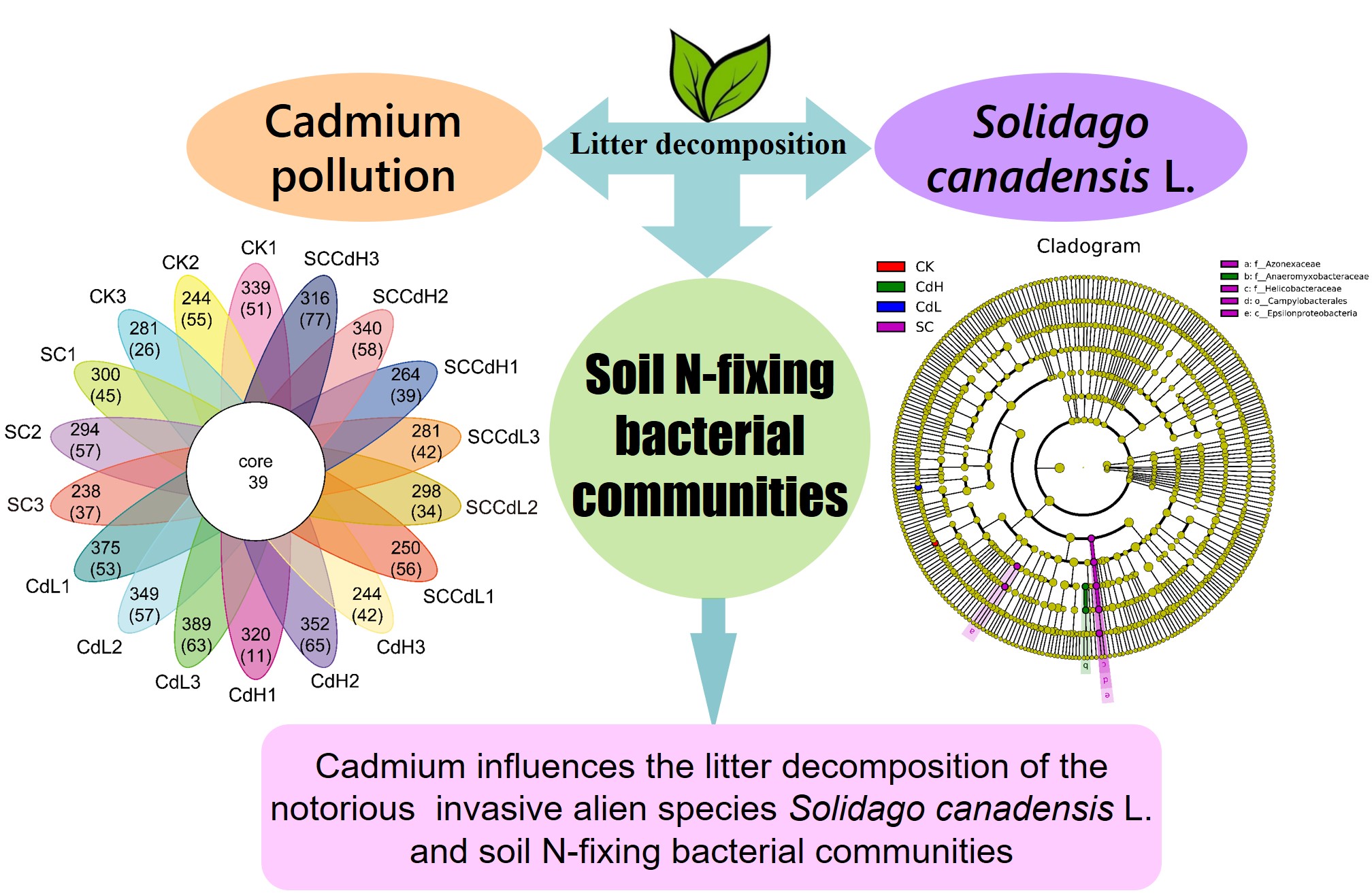 sci英语论文,医学sci论文撰写