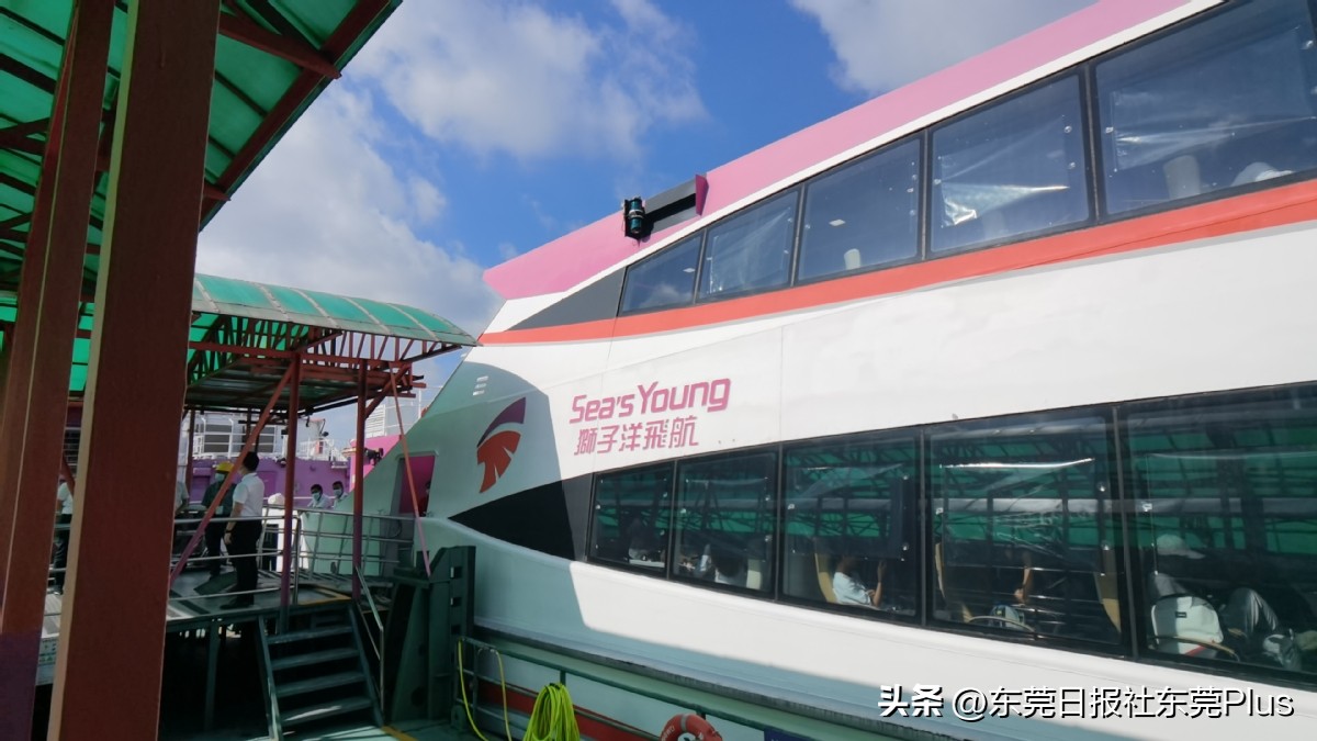 1小时50分钟直达、通关免排队！“东莞虎门-香港中港城码头”暑假专线开通