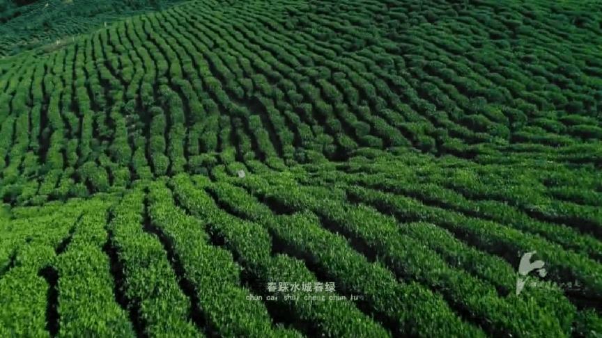 避暑打满分！七八月推荐13个人少景美的宝藏小城！逃离蒸炉