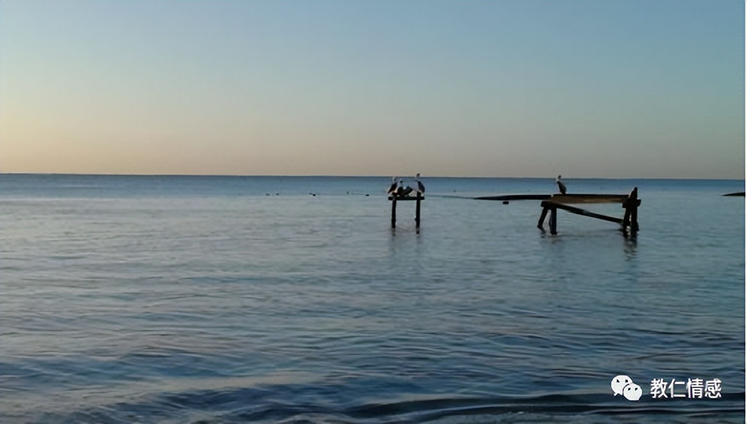 成年人聊天工具,成年人的聊天工具