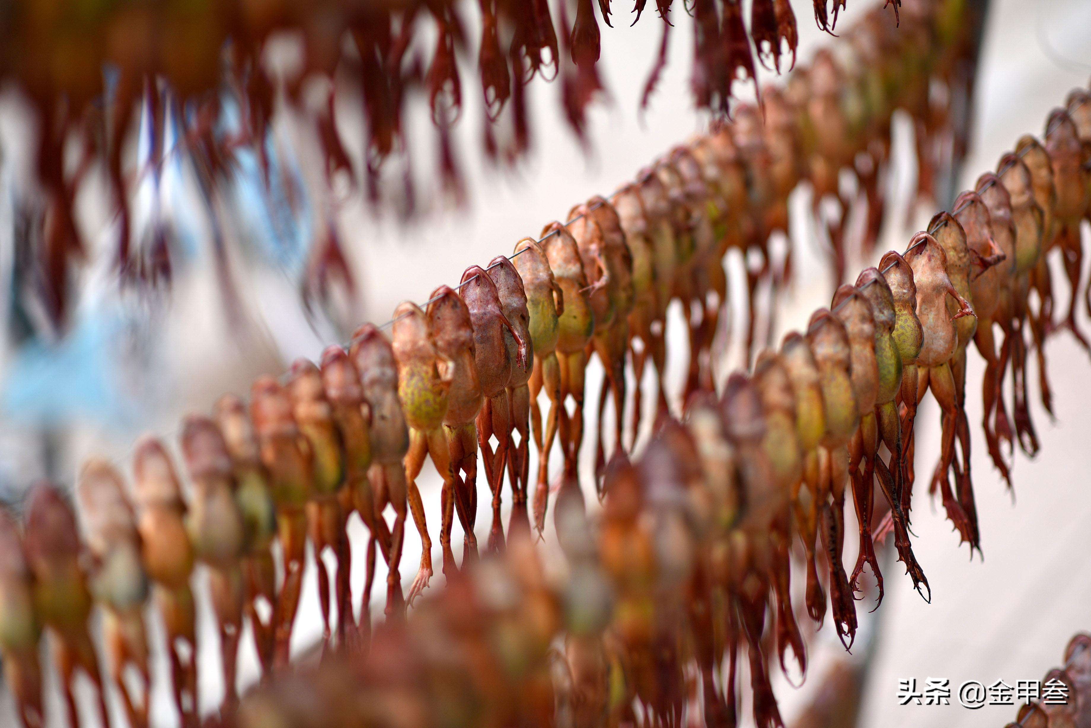 正宗老东北美食,二十多年的老东北美食