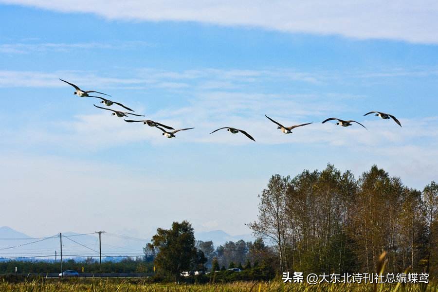 《秋天和冬天的对话》作者//周峰朗诵//陈兵