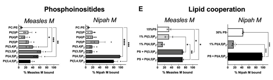 病毒性脑炎的症状及治疗法有几种,病毒性脑炎后遗症有多可怕