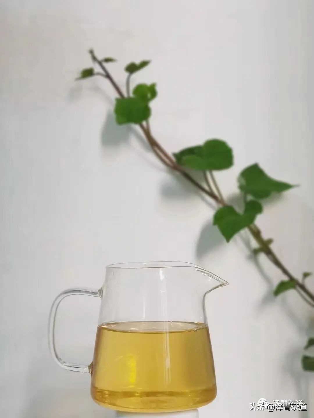 伏天喝什么养生茶最好喝,泡好一杯茶安享三伏天