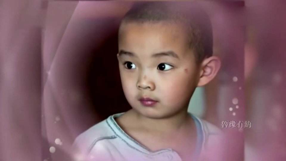 刘蓓第一任丈夫张健结过几次婚,刘蓓张健离婚了吗