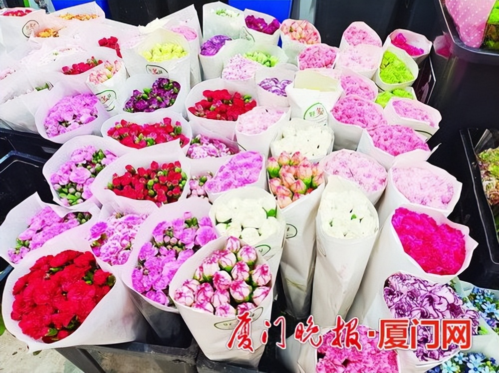 厦门新年花卉市场,厦门大型花卉市场有哪些