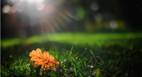 2023年手机屏幕多大最合适,如何选择适合自己手机的屏幕