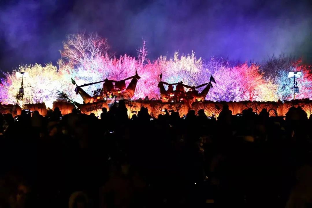 溧水今年有多少条龙灯,溧水龙灯