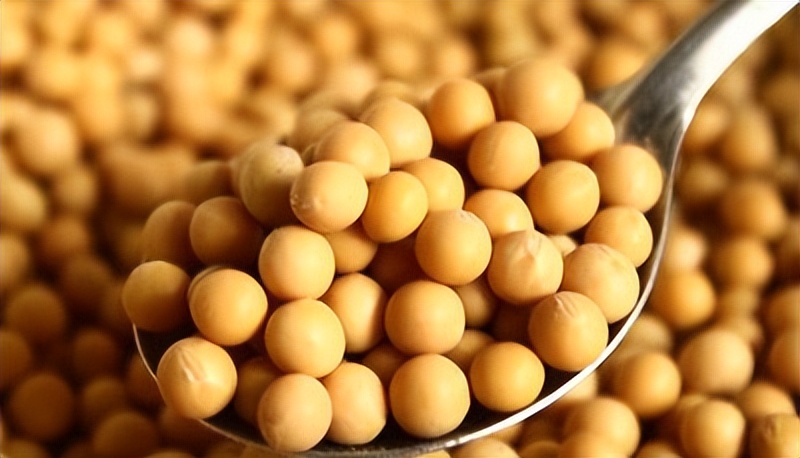 大豆病害最佳防治方法,大豆常见的病害图