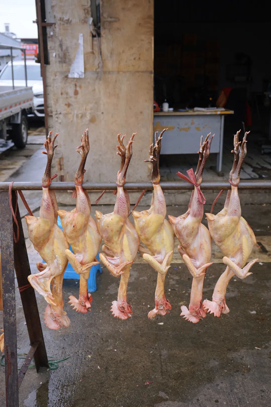 三联鸡鸭市场在哪里,三联市场家禽