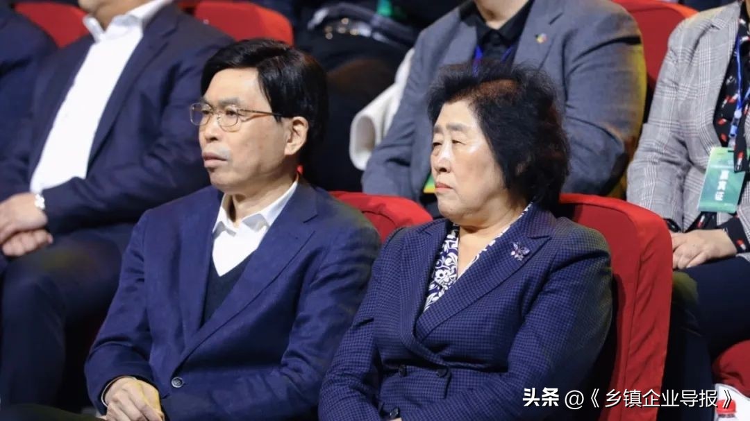 乡村振兴赋能计划人才典型案例,乡村振兴之文化振兴案例