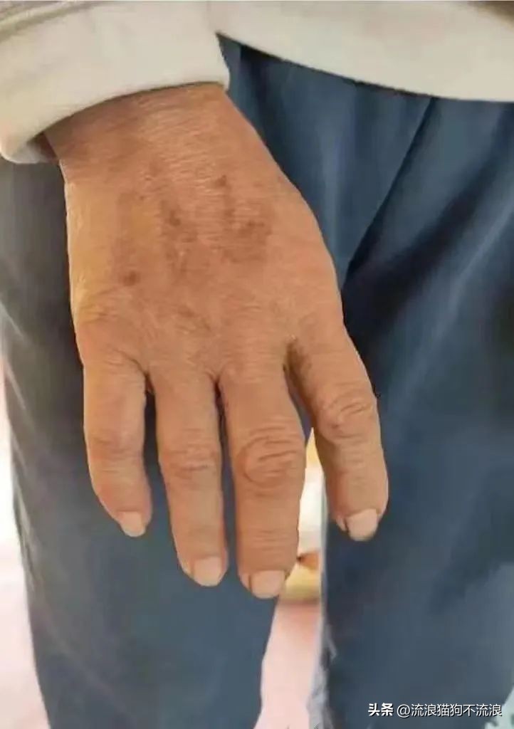 老狗疾病缠身口眼歪斜，最需要陪伴的时候，却遭主人无情抛弃