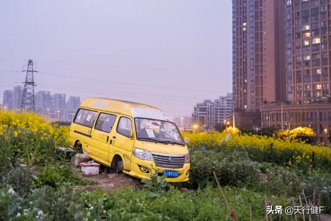 汽车投稿作品欣赏,汽车征文获奖