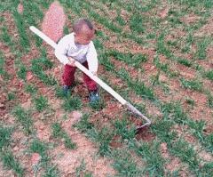 女孩子看起来外表美丽，其实裤袜已经掉到大腿根了！哈哈哈