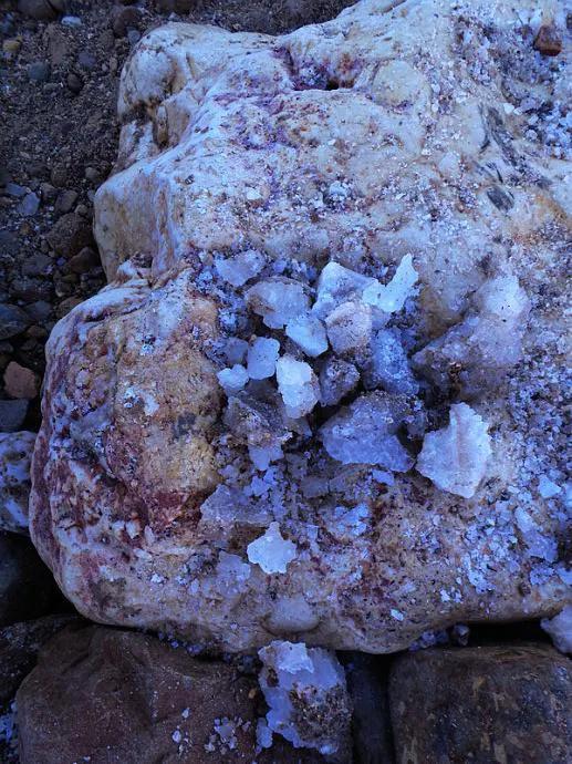 吃的盐来自哪里,你家里的盐买对吗