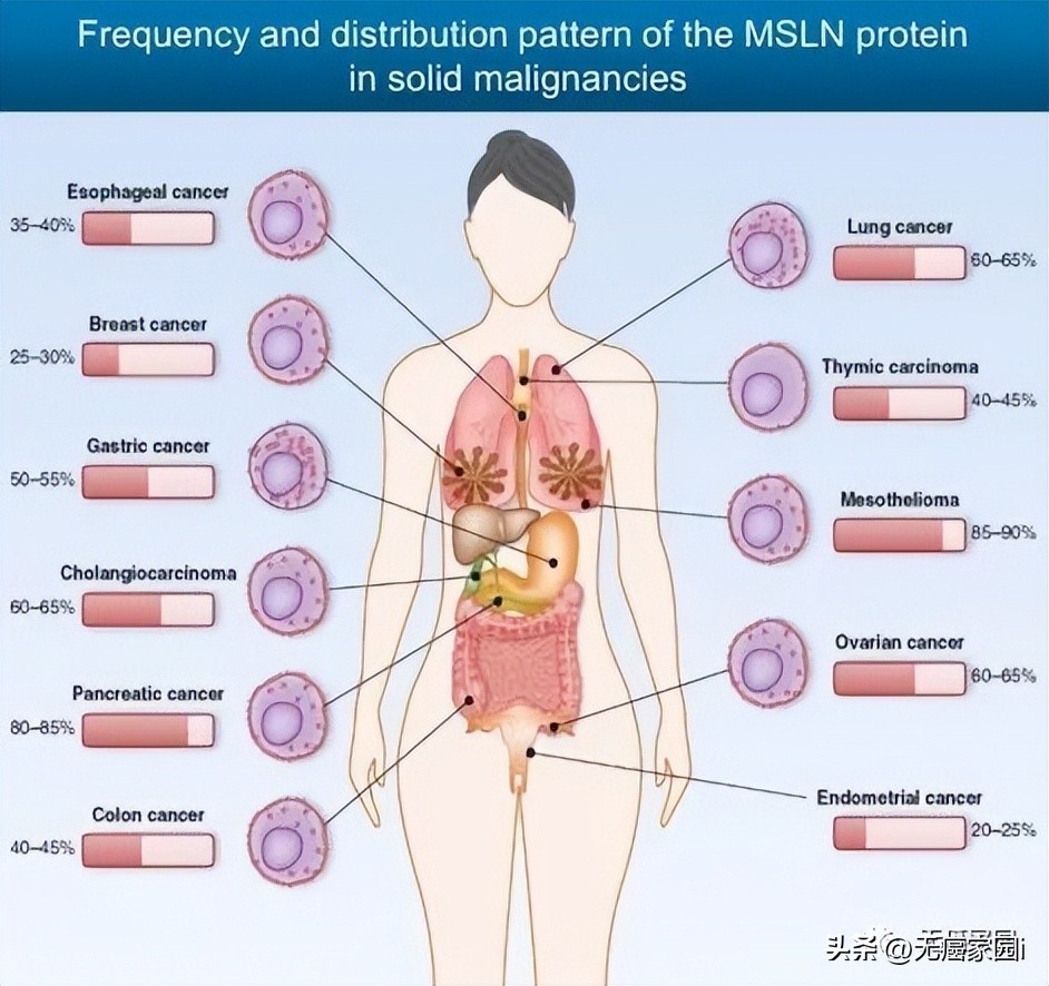 医保天价药谈判视频,医保谈判天价药谈出了平民价