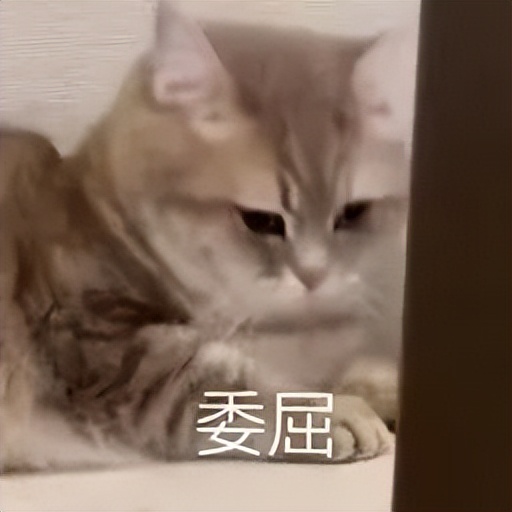 用酒店的毛巾会感染梅毒吗,用酒店的毛巾会感染吗