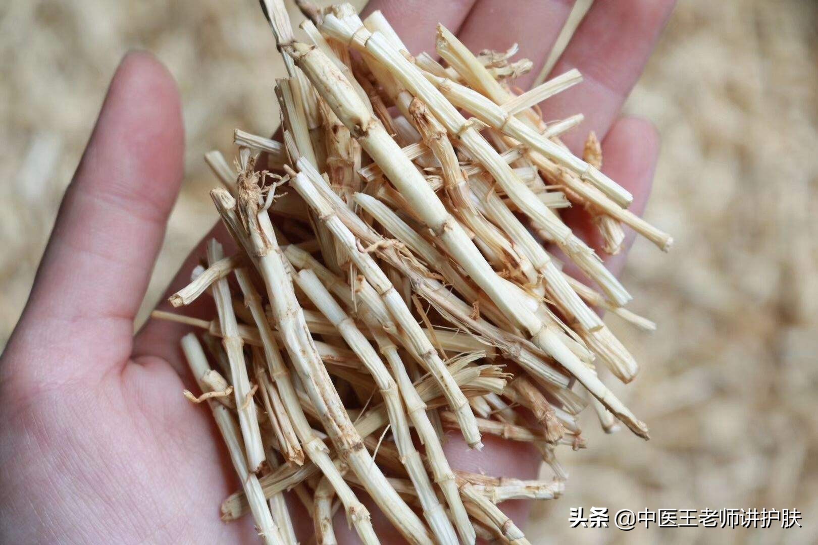 脓包型痘痘的治疗小偏方,治疗痘痘及脓疮最好的偏方