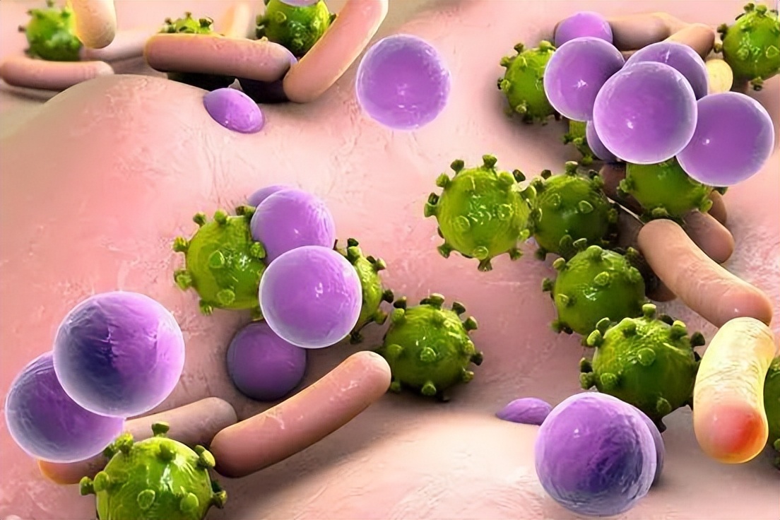 6种通过“性传播”的病你了解几个？建议：私生活不要太“放纵”