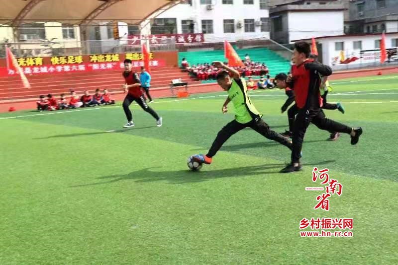 龙城小学阳光教育,方城县龙城小学与实验小学