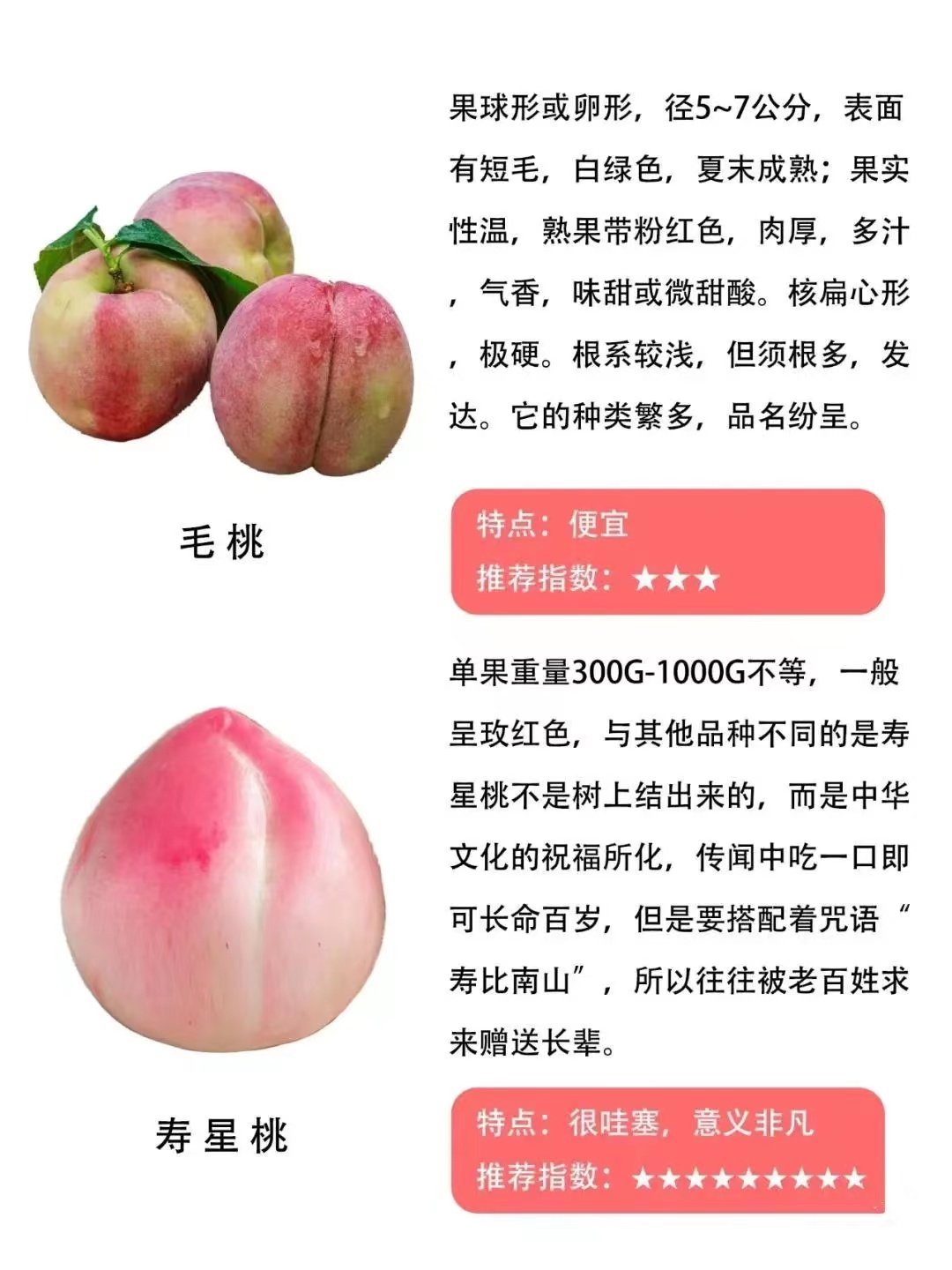 遵义桃子的品种和特点,常见的桃的品种区别有哪些