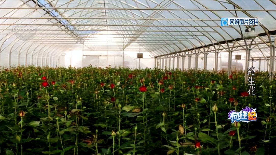 盘点人们都向往的工作,向往的工作和现实的工作