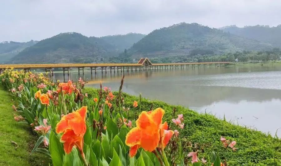 广西文旅旅游线路,广西十大精品旅游线路推荐