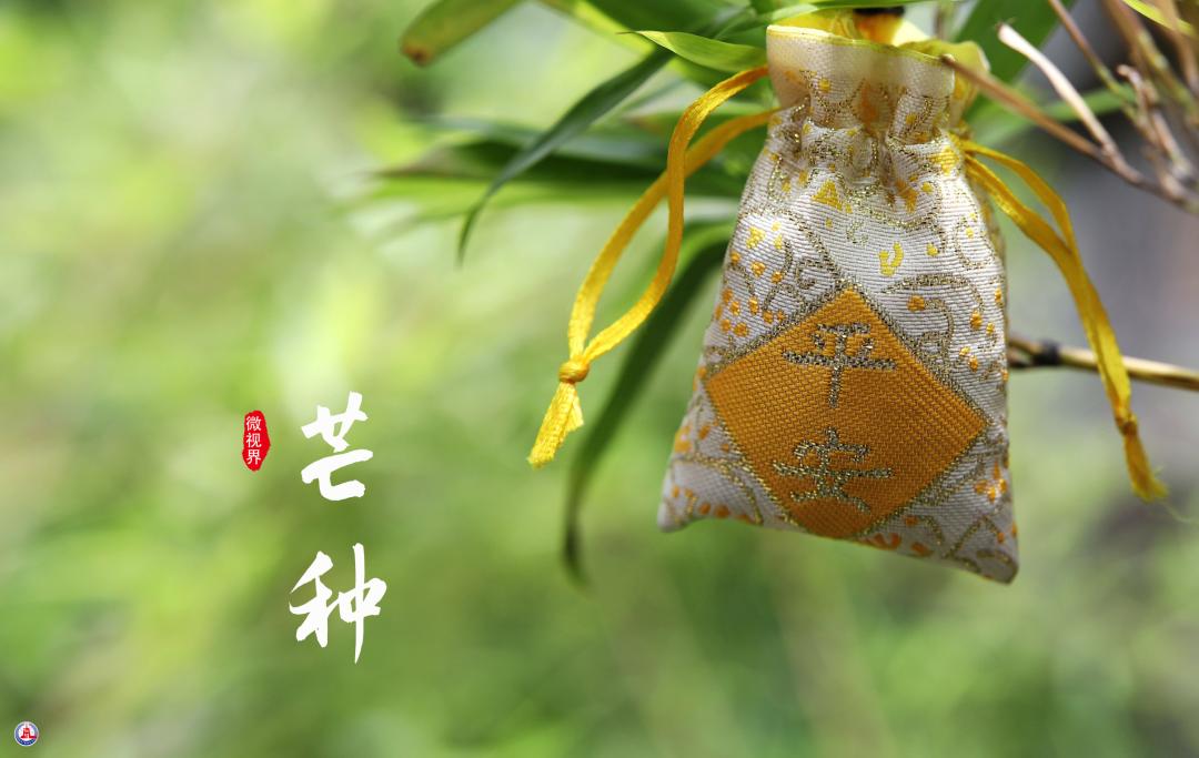 芒种时节蓝菲红酒来了!襄阳1819进口红酒庄盛装开业