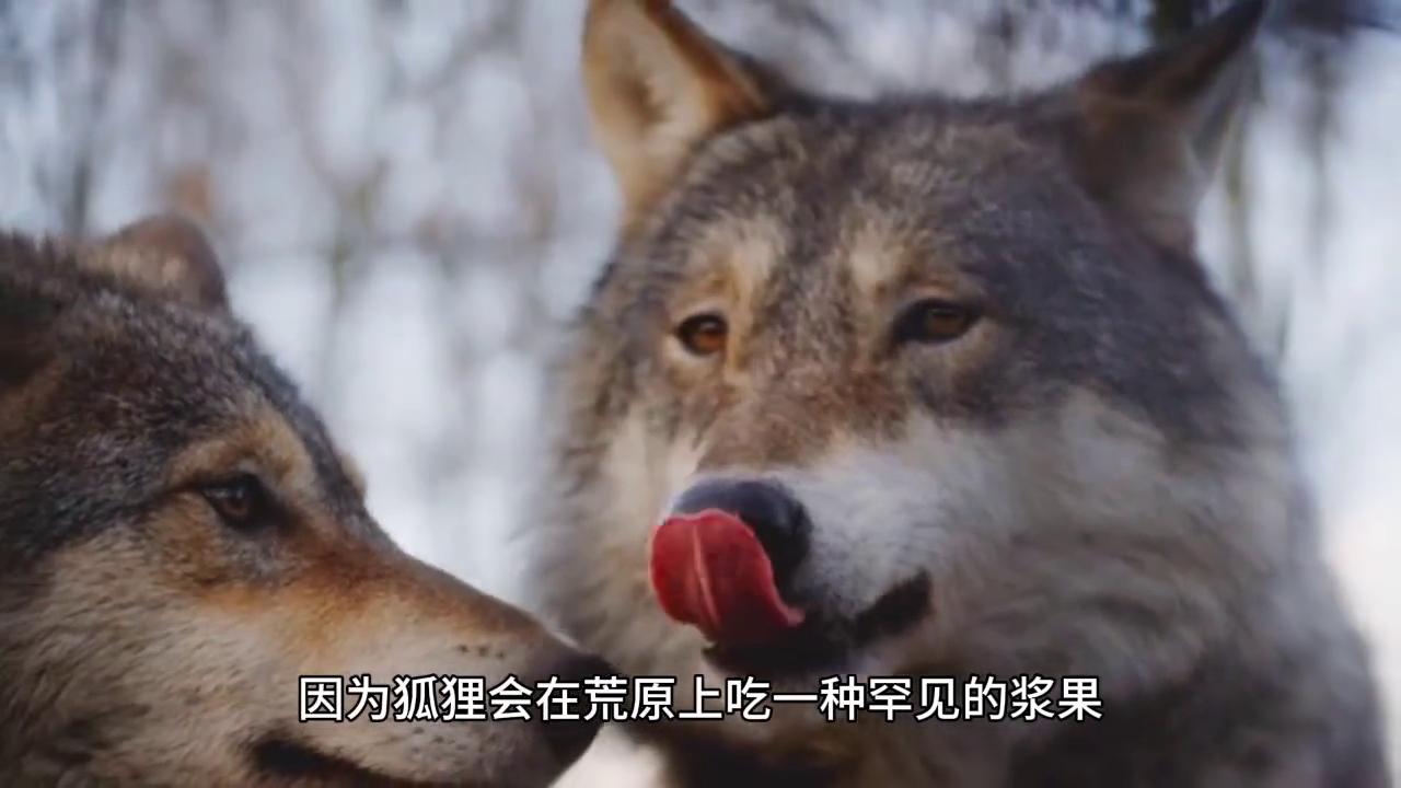 故事分享平台,故事分享精彩