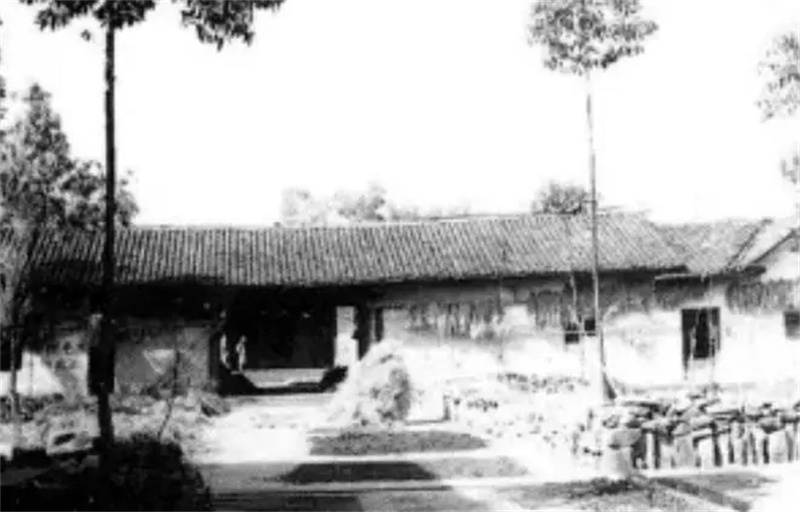 潘兰珍：陈独秀的最后一任妻子，与其风雨相伴十二年，为其送终