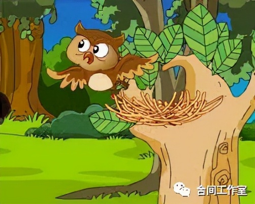 猫头鹰会迁徙吗,猫头鹰与人类友好吗